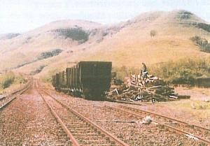 Off-loading pulpwood at Umhlongonek