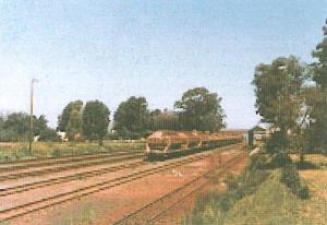 Greytown yard showing loaded ST Wagons of pulpwood