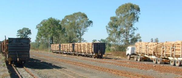 Timber on Rail