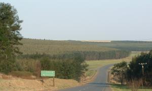 Forestry Midlands