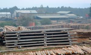 Treated Timber Plant