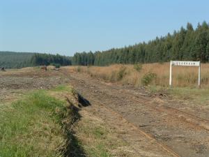 Mt Alida branch line